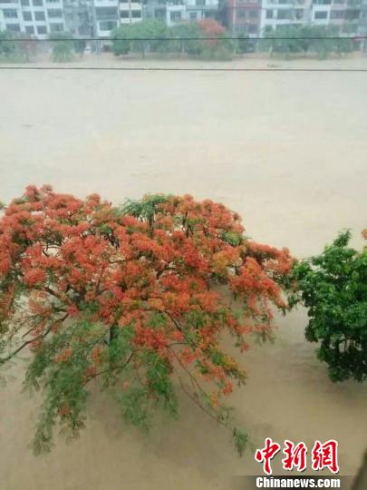 广东信宜市多地水灾严重 水库告急泄洪