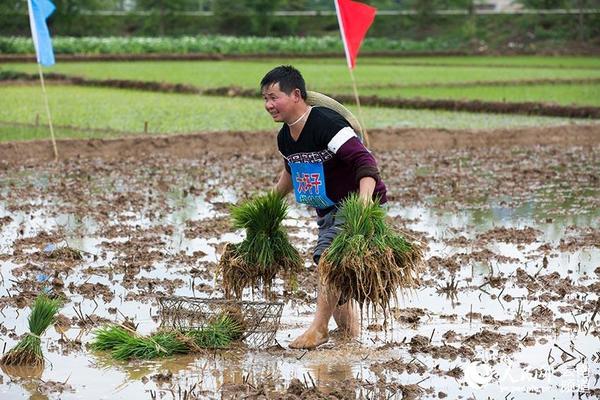 比赛现场。（邓龙启 摄）