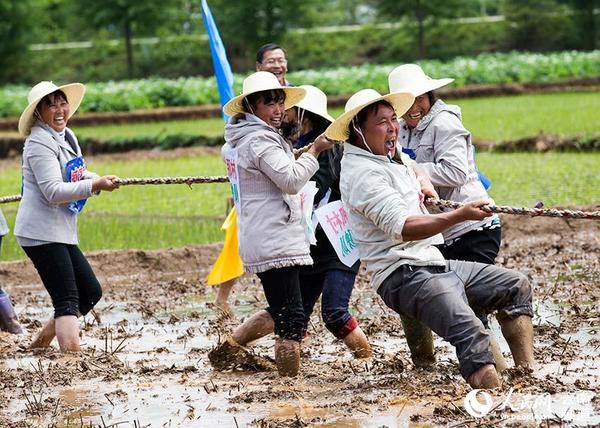 比赛间隙，参赛群众在田间进行拔河比赛。（邓龙启 摄）