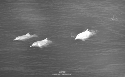 网友“太阳宝宝”供图