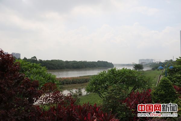 佛山新城滨河生态廊道一景。中国网李云鹏摄