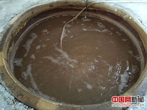 图为冷水鱼鱼苗吃的虫卵，1克虫卵的数量在22万—28万个。中国网记者 黄富友 摄