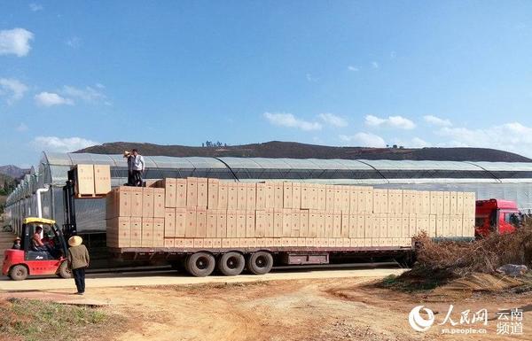 出货(供图 摄于2015年)