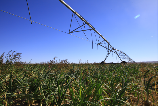 ▲华蒙通(乌兰察布)基地实景