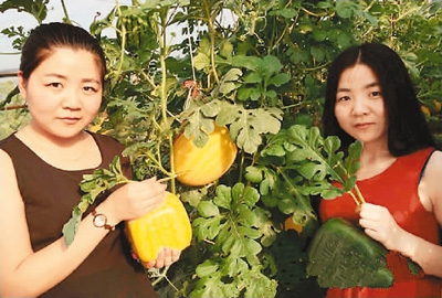 独创特色产品 享誉八百里秦川