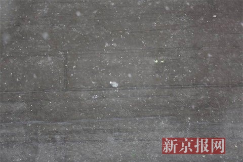 6月10日下午14时55分，海淀知春路附近，狂风暴雨夹杂着冰雹。新京报记者 浦峰 摄