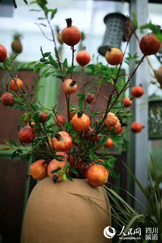 长在花瓶里的石榴。(朱虹 摄)