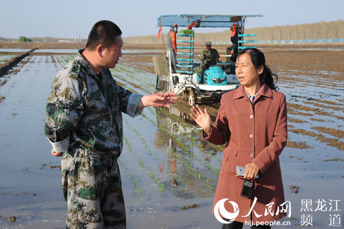图为水稻“旱平垄作双侧双深”高效栽培新模式的发明者郑桂萍教授（右）在水稻田间指导859农场的技术人员。毕强 摄