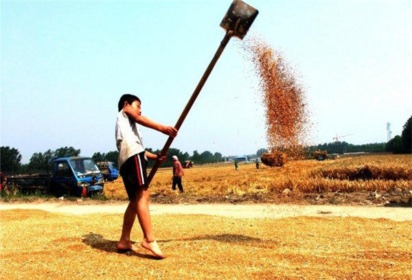 图片来源于网络。