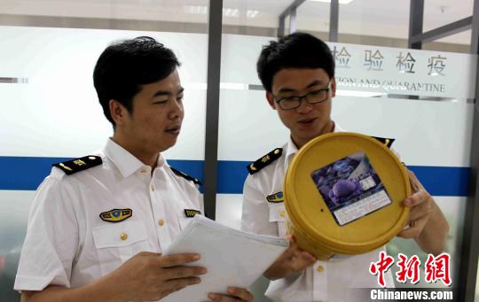 检验检疫工作人员正在查验进口冰品。　杨卡娜　摄