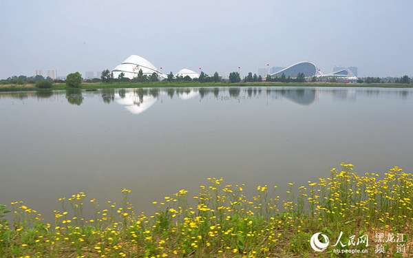 太阳岛外滩湿地。焦洋 摄