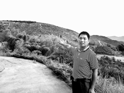 村主任连贻伟说,远处就是千亩油茶山。