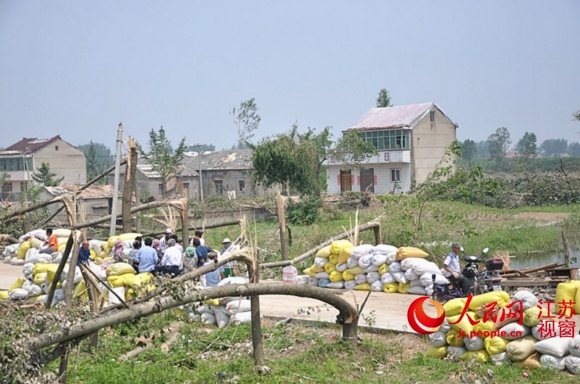26日上午，阜宁县新沟镇南湾村灾粮收购现场。