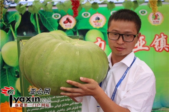 巴楚县生产的有机大南瓜重量近40斤。亚心网记者 王建隆 摄