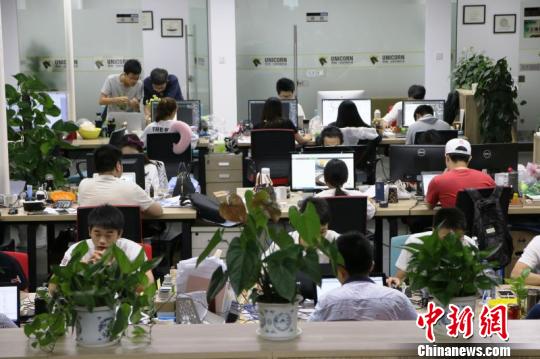 在独角兽?众创科技孵化器,年轻的创业团队正在工作、交流。 杨文虎 摄
