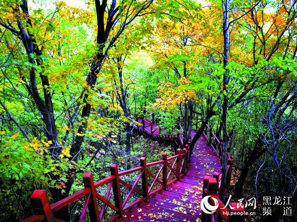 宾县友联村延伸旅游产业链 构造美丽乡村风景