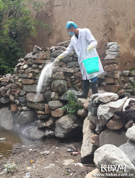 灵寿县疾控中心工作人员对水源消毒。灵寿县卫计局供图