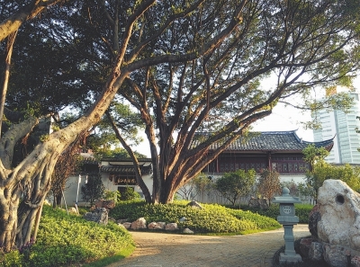 南公园内，移步换景，曲径通幽。