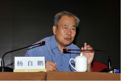 原中国工艺美术学会会长杨自鹏发言