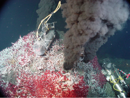 太平洋东北部的苏利热液喷口（Sully Vent），与LUCA生活环境相似。