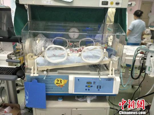 图为新生的双胞胎宝宝在保温箱里接受治疗。　重庆红会供图摄