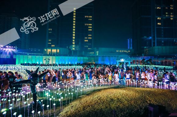 灯海点亮仪式吸引众人观看。主办方供图华龙网发