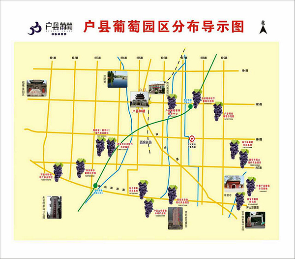 户县葡萄采摘线路