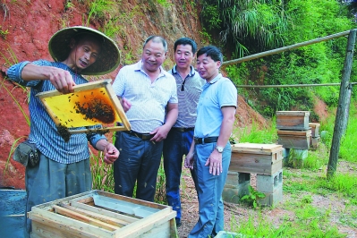 李昌元在生态农场里,养殖蜜蜂。