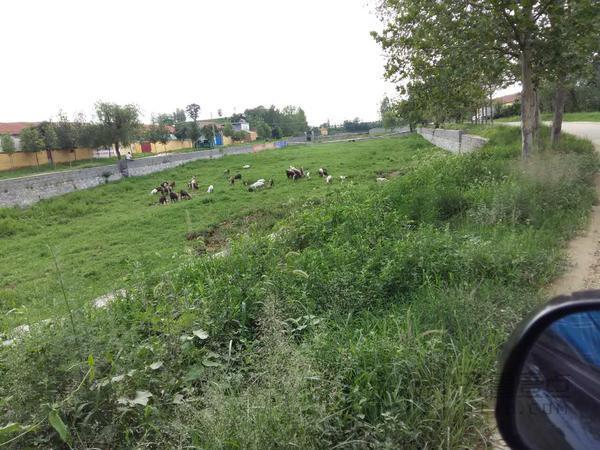 莱阳局部干旱严重!连续3年雨季降水少 河基本
