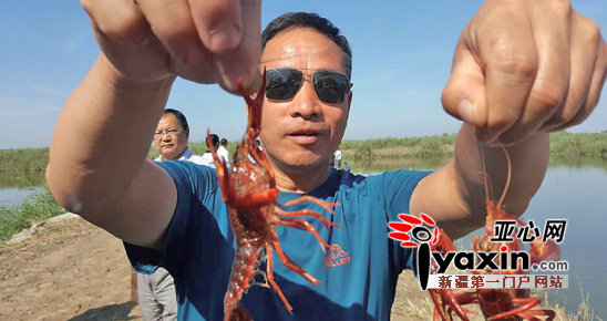 9月就能吃上新疆地产小龙虾啦!