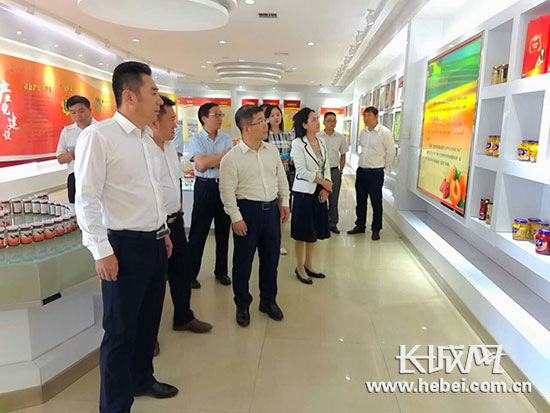 县域特色产业电子商务项目落户河北遵化市