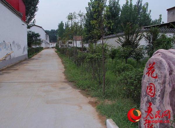 西姜寨乡村间干净整洁的小路   申宁 摄