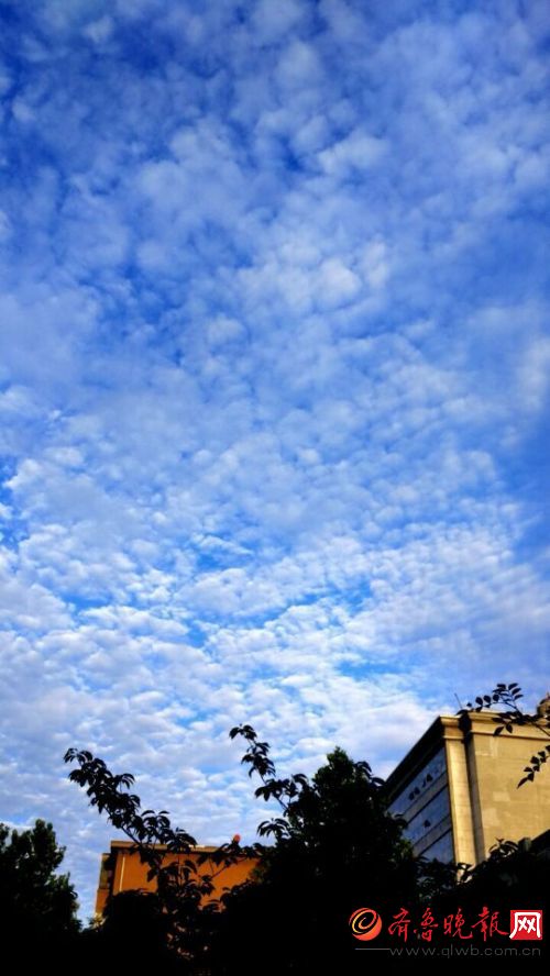 济南实拍:又是瓦片云!老天爷慷慨得有点让人不