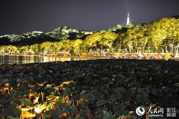 远处的塔是保俶塔，它高耸在宝石山东巅，是西湖风景线上一个突出亮丽的标志。