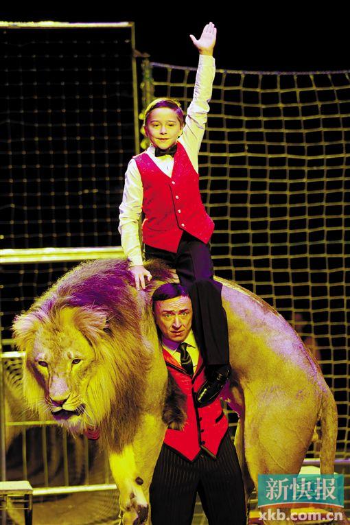 ?整个表演的压轴环节,冈察洛夫把一头重达260公斤的雄狮,以及他12岁的儿子一起扛起来。这头雄狮是冈察洛夫的爱将、性情温和爱黏人的雷迪克。