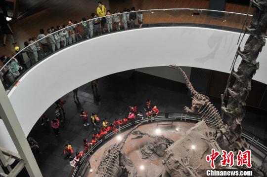 图为小朋友们在动物博物馆参观。 任东 摄 中新网昆明9月23日电 (记者 马骞)哎呀,我有点不敢把蝴蝶拿起来。23日,来自昆明市官渡区五中初二年级的王馨怡和她的同学们跟随老师来到昆明动物博物馆。在一堂特殊的标本制作课上,一向觉得自己胆大手巧的孩子们却有些傻了眼。 今年全国科普日围绕普及宣传创新、协调、绿色、开放、共享的发展理念需求,于9月17至23日开展。昆明动物博物馆23日举办了主题为创新放飞梦想,科技引领未来的活动。 孩子们制作标本的礼盒,来自昆明动物博物馆的科普文化创意产品。这件奇妙的