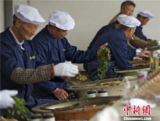图为春茶炒制。 陈君 摄