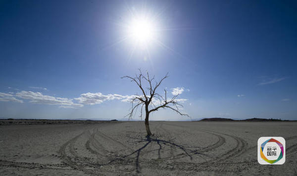 索尔顿湖南岸大片裸露的干涸河床。