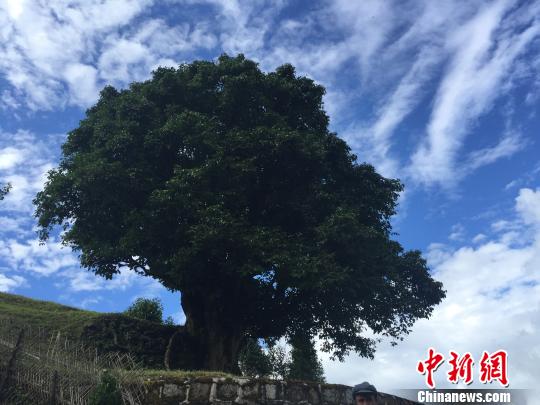 临沧人口有多少_西双版纳投资买房有没有潜力 有哪些优势(2)