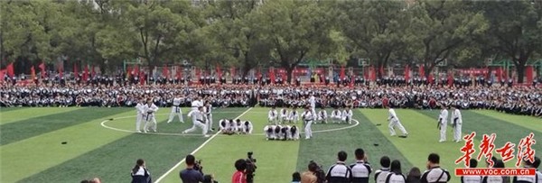 武术表演