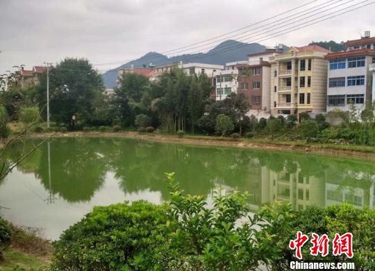 嘉村民自筹百万元整村容 扮靓乡村共享福利_凤