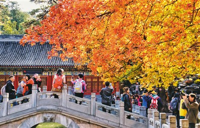 秋高气爽红叶美(七日网景)