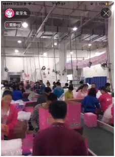 (蜜芽仓库发货直播)