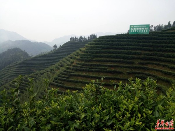 沩山乡人口_沩山风景名胜区图片