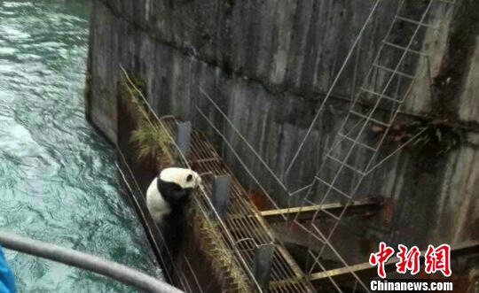 误入水电站。(手机拍摄) 钟欣摄