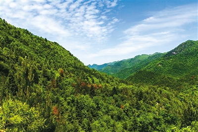 宁陕两处景区上榜"中国森林氧吧"