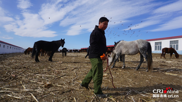 中国人权纪实:科尔沁右翼中旗人的产业脱贫路