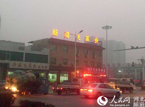 图为保定白沟新腾飞革业有限公司。