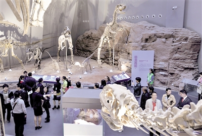 重庆自然博物馆，市民正在参观展出的各种恐龙化石。（资料图片） 本报记者 甘侠义 摄