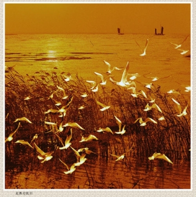 11月28至12月1日南京停办各类迁移手续及注销